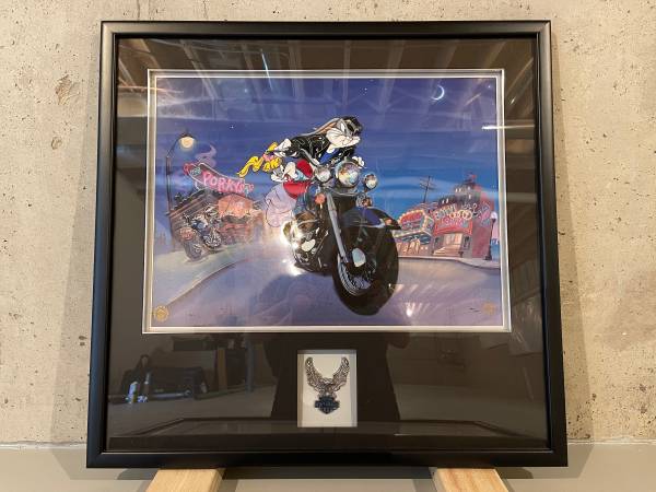Harley Davidson Pic 1