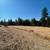 REDUCED!!  10 Plus Forested Acres, Good Well, Quiet, Water Storage 1 thumbnail