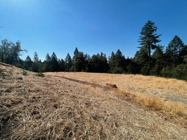 $125,000 REDUCED!!  10 Plus Forested Acres, Good Well, Quiet, Water Storage (Grass Valley)63952105759491120