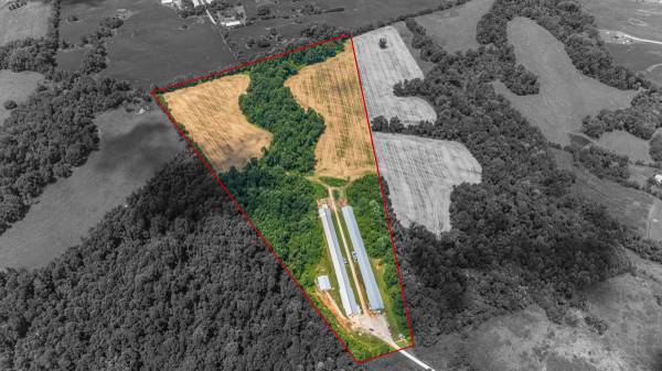 $1,349,900 4041 Otter Gap Road (Bowling Green)63846718792961120