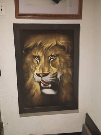 David Ortiz Lion 🦁 1