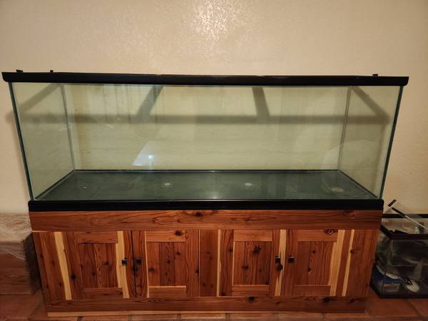 300 gallon tank with custom stand 1