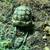 Sulcata tortoise 5 thumbnail
