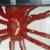 HALLOWEEN Spider Light Decoration Decor Animation Vintage New Lights 2 thumbnail