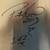 Tropical Brushed Metal Wall Art Signed by Famous Florida Artist 2 thumbnail
