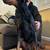 perfect 6 year old fixed boy Doberman dog 2 thumbnail
