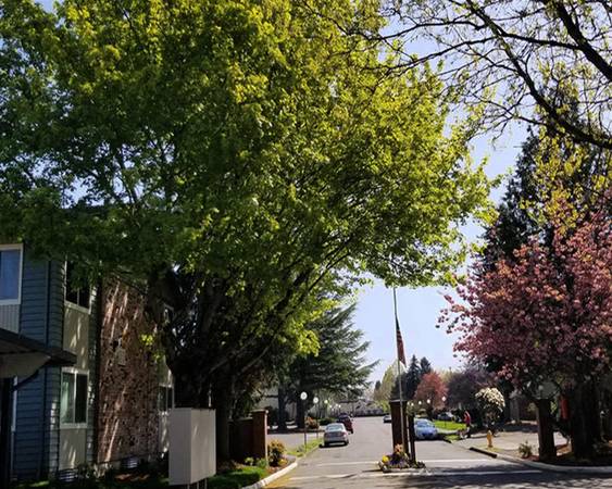 $1,595 / 2br - Enjoy the Scenery & Gorgeous Creeks, Clubhouse + Two Bedroom (Gresham)64039222890113124