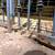 Mobile Welder/Fence Repair 1 thumbnail
