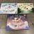 JULIAN LENNON WHITE FEATHER FLIER 3-Book Box Set by Julian Lennon 2 thumbnail