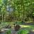 Inside Find a Beautiful Fireplace Crafted with Locally Sourced Stone 19 thumbnail