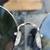 Saville Row Sunglasses Custom made 1 thumbnail