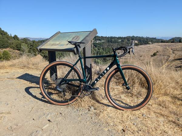 Allied Able (Medium) 1