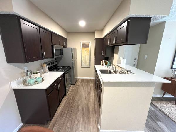 $950 / 1br - 🎉🎉FREE! FREE! 1️⃣ MONTH FREE! (North Austin)63979118323842121