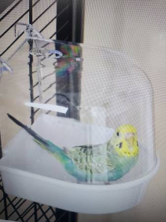 New Big Bird Cage _with Stand------_62"14"x18" (fremont / union city / newark)63874129836291123