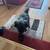 Your Trusted Pet Sitter for Busy Professionals! 1 thumbnail