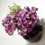 Over The Top Or Hanging Wall Pocket Glazed Ceramic Pottery Planter 6 thumbnail