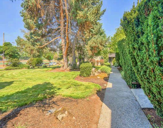$1,350 / 1br - SPECIAL - $300 OFF | Hardwood Floors, Ceiling Fan + Pets Accepted (Hawthorne District)63845978297347124