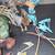 1995-99 Todd McFarlane Toy Lot Spawn & More Sci-Fi Comic Action VIDEO 6 thumbnail