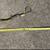 Pair of Antique Fishing Rods - PAIR 3 thumbnail