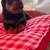 Rottweilers 3 thumbnail