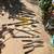 Lawn Grafter, Watering Pots, Saw, plants 9 thumbnail