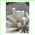 Arteriors Tilda White Chandelier, Small 9 thumbnail