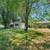 Conveniently located 5 Bed, 2 Bath House in Provo | Available Aug 31, 15 thumbnail