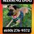 Missing Dog 3 thumbnail