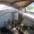 RARE 1951 DODGE WAYFARE BUSINESS COUPE 5 thumbnail