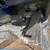 Clark forklift 10 thumbnail