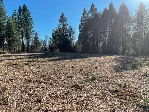 $215,000 REDUCED 42.40 Acres at 3,000ft Elevation with a Well, Home Pad Cleared (Nevada City)63952105773443123