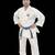 FALL SHOTOKAN KARATE CLASSES — SENSHI CHICAGO 2 thumbnail