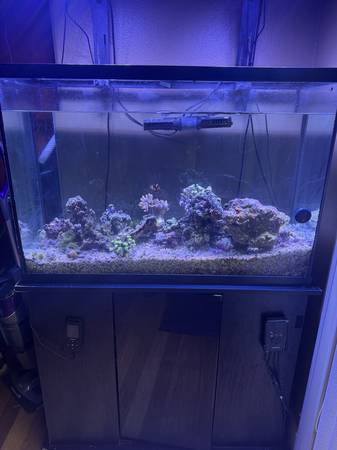 Aquarium Full Setup with Live Coral 1