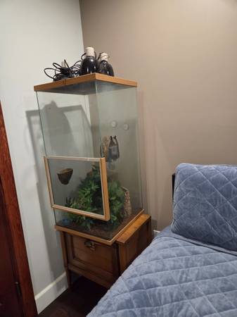 Terrarium, Gecko Reptile Enclosure, Mint 1