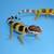FREE LEOPARD GECKO!!! 1 thumbnail