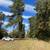 Beautiful 10 Acre Property - Fenced with Trees 4 thumbnail