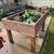 Flower/Vegetable Garden Box 4 thumbnail