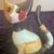 R. Wachtmeister Porcelain Cat Figurine Alice 3 thumbnail