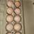 Dark brahma hatching eggs 1 thumbnail