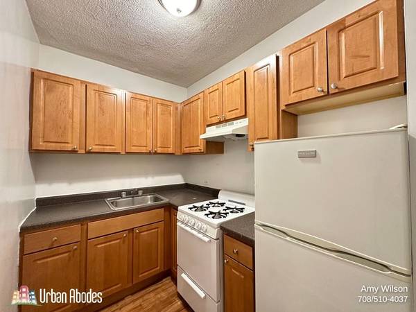 $1,195 / 328ft2 - Awesome Studio, 1 Bath in Humboldt Park, Available: 10/1/2025 (Humboldt Park)63918294957571123