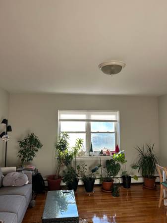 $2,800 / 2br - Brighton 2 Dormitorios/1 Baño | Calefacción y Agua Caliente Incluidos | Cerca de Chiswick Rd. (Brighton)63620423234305121