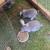 Rabbits 1 thumbnail