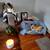 Dog walker, Pet & Cat Sitter, Pet Boarding for thanksgiving in Toronto 7 thumbnail