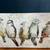 Bird Themed Artwork on Stretched Canvas 48" x 18" 1 thumbnail
