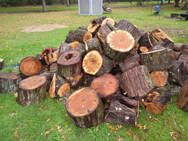 Fire wood truck load 1