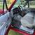94 Ford F150 Super Cab XL 115k miles 12 thumbnail