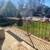 Three Bedroom One Bath Upper Duplex Available August 2026 12 thumbnail