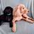 Miniature/Toy Poodle Puppies 4 thumbnail
