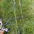 Macpherson Hornet Compoud Bow 6 thumbnail
