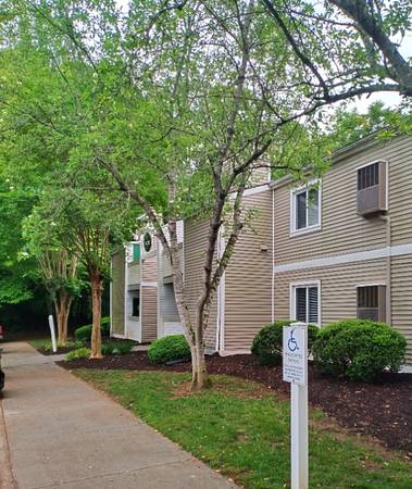 $921.00 / 1br - 672ft2 - Modern 1 Bed/1 Bath Apartment in Lynchburg, VA - $921/mo63851971168899124